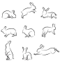 兔子 兔兔 插画