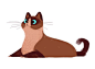 Daily Cat Drawings