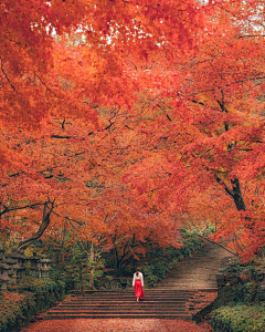萝卜娘娘采集到A场景