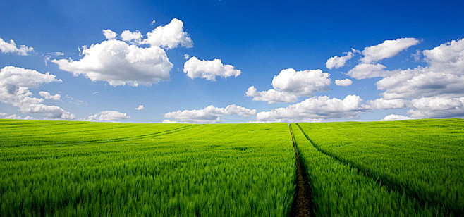 蓝天绿地草原清新海报banner文艺小清新简约图库png图片网图片素材