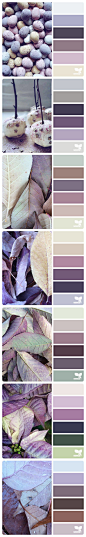 妩媚精美风格的淡紫调色彩搭配方案