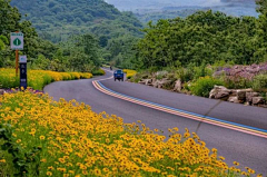 满天星hlh采集到意向图-道路景观