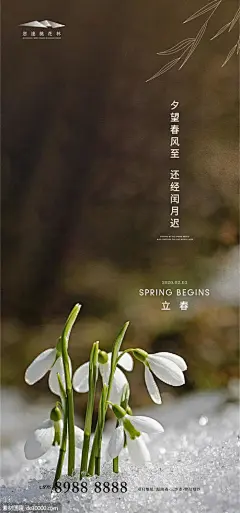 源文件下载 立春 立春 春天 春色 阳光 清新 海报 地产