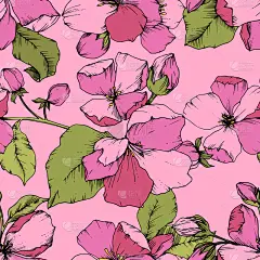 粉色,植物学,苹果花,纺织品,铅笔,壁纸,植物群,春天,花,剪影