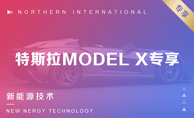 特斯拉MODEL X专享