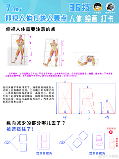 泥可可采集到人体-001