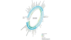 姑苏一杯倒夷陵见狗怂采集到diagram，presentation，analysis