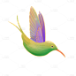 鸟2