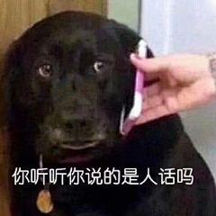 Jacksonyee迷采集到表情包