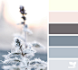 Arctic Frost | Design Seeds : { arctic frost } image via: @arctic_stories