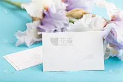 白色名片与淡紫色鸢尾花蓝色粉彩背景。侧视图，复制空间，静物。早餐，早晨，春天的概念。