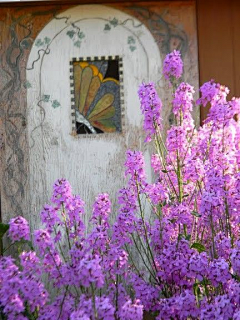 木颜…采集到花屋