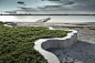 VEGA landskab的Hvidovre海滩公园«景观建筑平台| Landezine