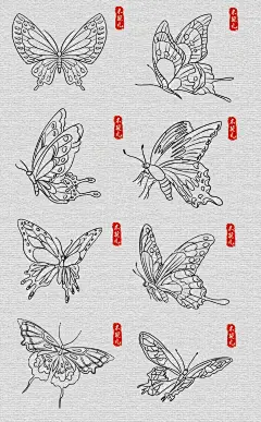 蝴蝶线描素材 - 小红书
