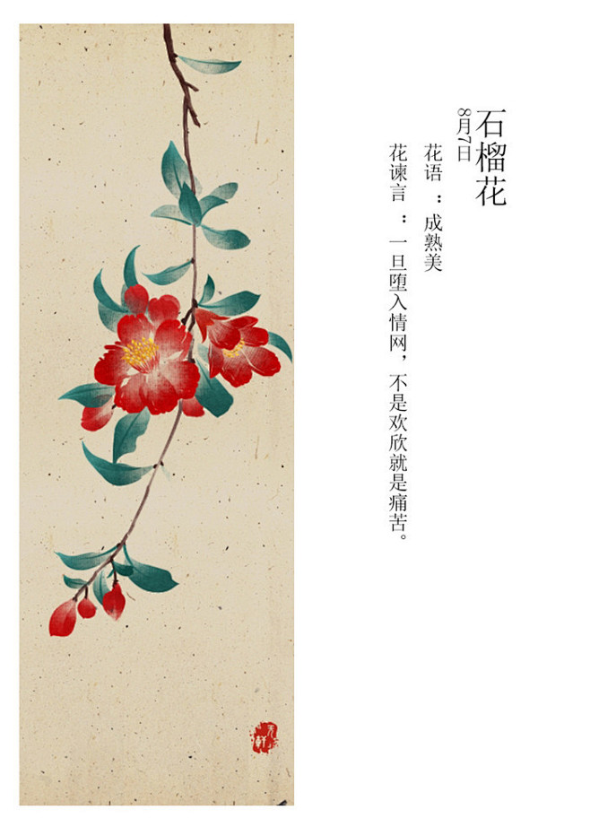 365生日花。8月上-无轩_花草_涂鸦王...