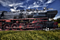 Steam train in a field