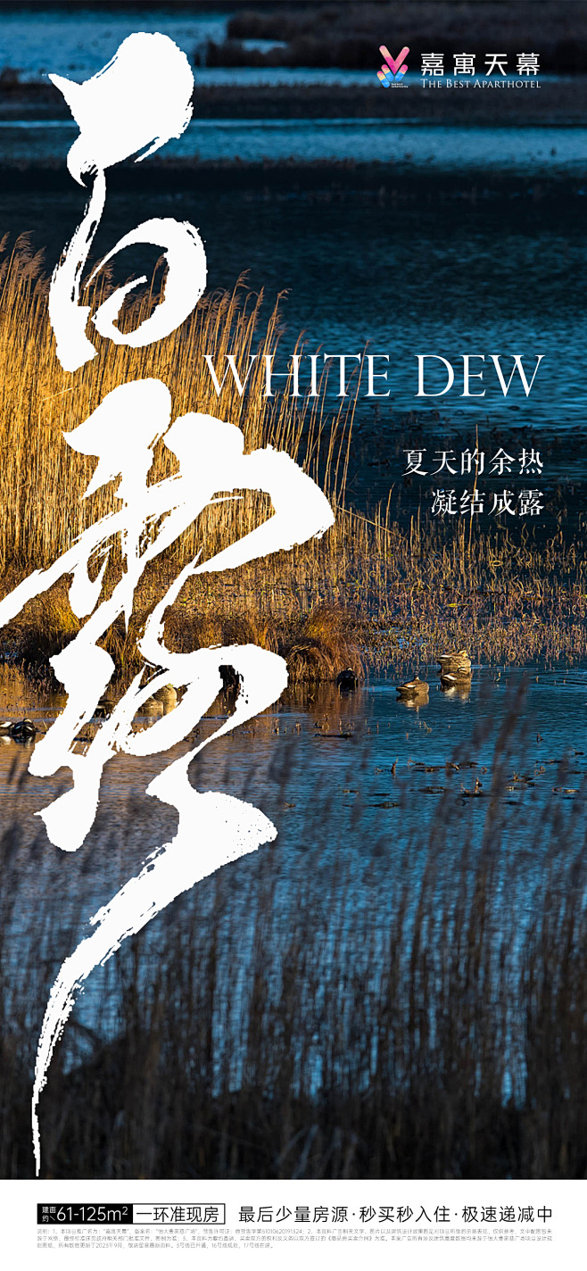 白露