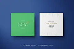20款凹凸浮雕艺术纸质感名片设计作品贴图ps样机素材展示效果图下载_颜格视觉