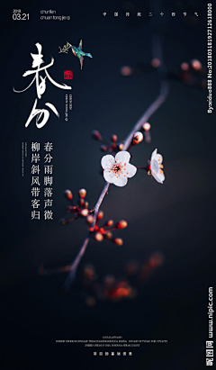 西瓜bo采集到节气海报
