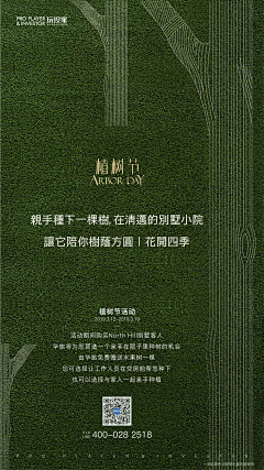 谢小刀爱设计采集到2019年平面设计