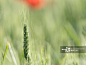 创意图片素材 - Moment _杂-素材采下来_T2019513 #率叶插件，让花瓣网更好用_http://ly.jiuxihuan.net/?yqr=12506434#
