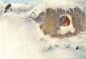 fullscreen_1998_Pauli_Noel1