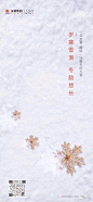 2019大雪地产稿精选入围作品揭晓