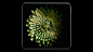 04_Depth_01_SS_v127_00000