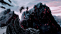 陈情令 自截GIF