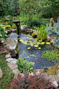 (15) Pinterest_5352797598