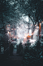 person holding umbrella near streetlight and trees at daytime