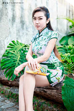 止時采集到女
