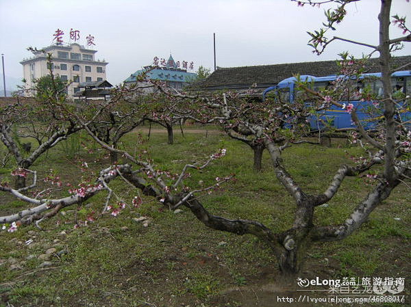 桃花浪:鸭绿江, 小猪背小熊旅游攻略