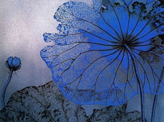 天使之音采集到花色