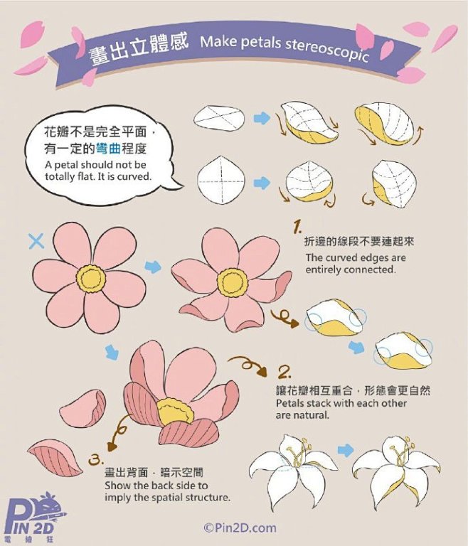 春日画花，不同花卉的画法，这样的教程一目了然，超棒！ 作者：Pin2D 插画超话