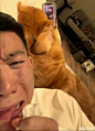 百度贴吧——全球领先的中文社区