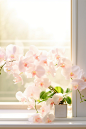 white orchids on a white window sill stock photo 20, in the style of kawaii aesthetic, books and portfolios, light pink and light orange, 3840x2160, romantic themes, meticulous design, pink and green