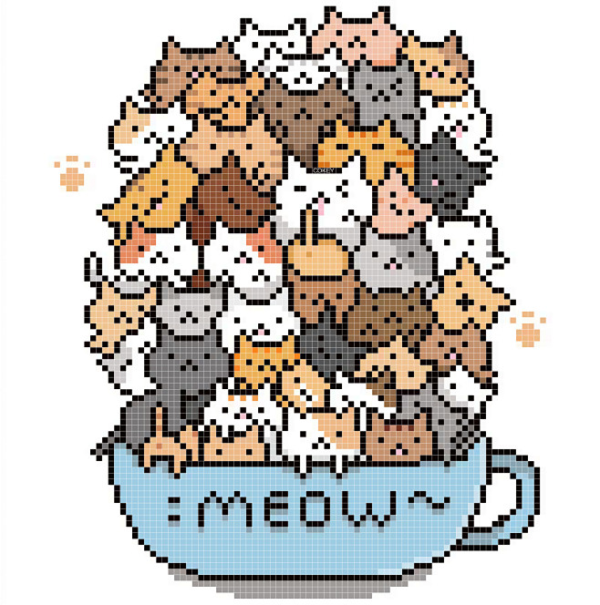 一碗猫
