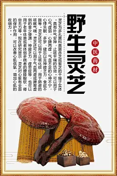 最新原创中药材宣传海报