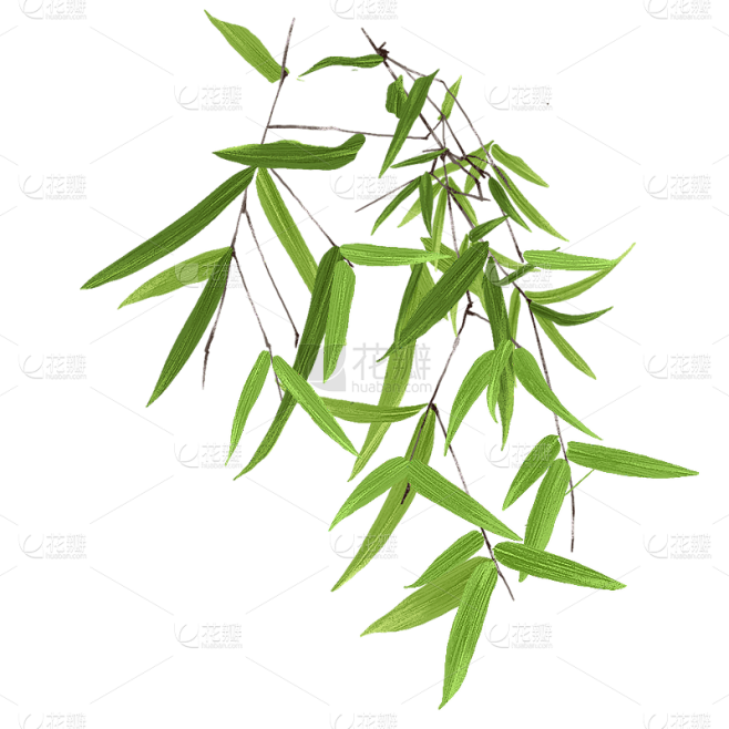 手绘-写实竹子竹叶植物元素贴纸1