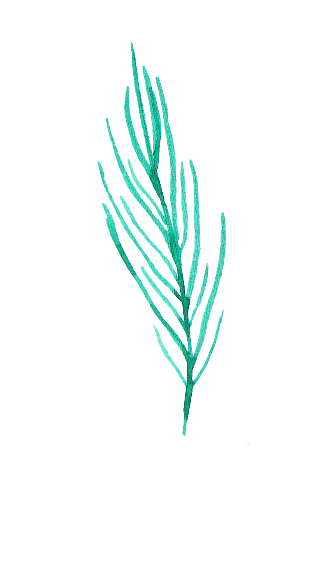 夏季五颜六色的水彩热带花卉 tropic...