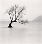 哲学家的树 / Michael Kenna : 摄影大师的“树”之旅程