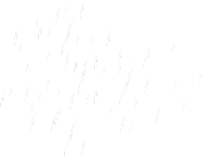 雨1