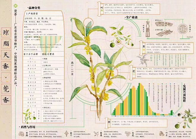 设计灵感分享 NO.35｜植物可视化信息...