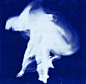 blue ​​​​