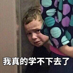 就爱吃小鱼丸采集到可爱小素材