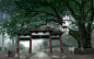 山海师
