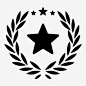 星级保证荣誉图标_88ICON https://88icon.com 星级 保证 荣誉 国家 质量 评级 奖励 成功