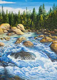 冷杉林中粗糙的河流。