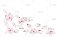 花朵,花瓣,春天,浪漫,壁纸,樱桃,婚礼,花,树,爱